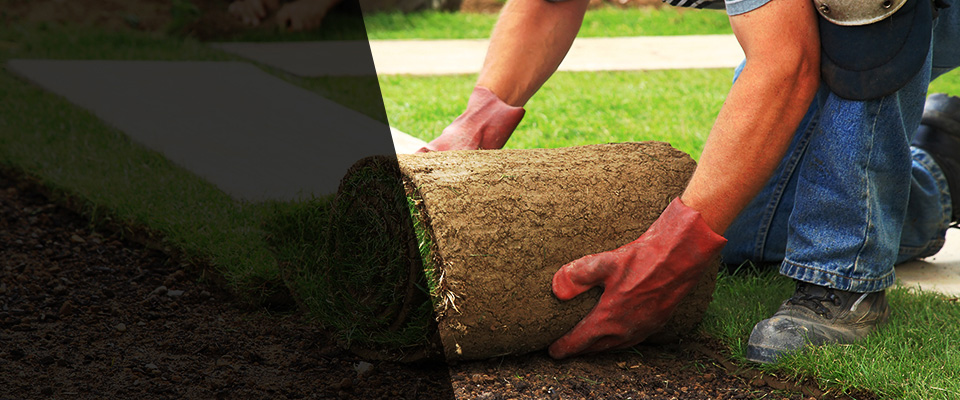 Hartland Landscapers